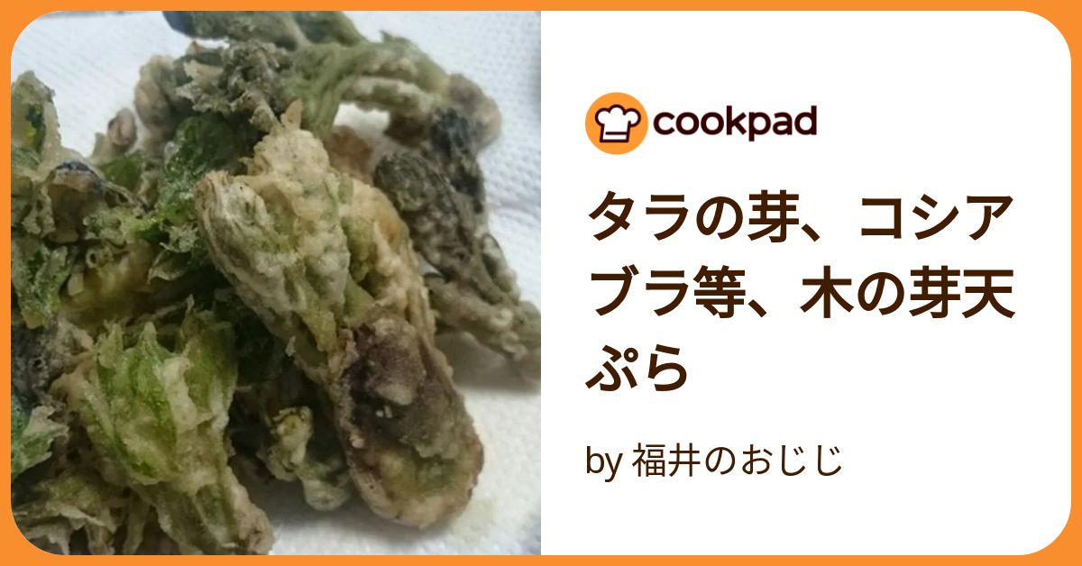 タラの芽、コシアブラ等、木の芽天ぷら by 福井のおじじ