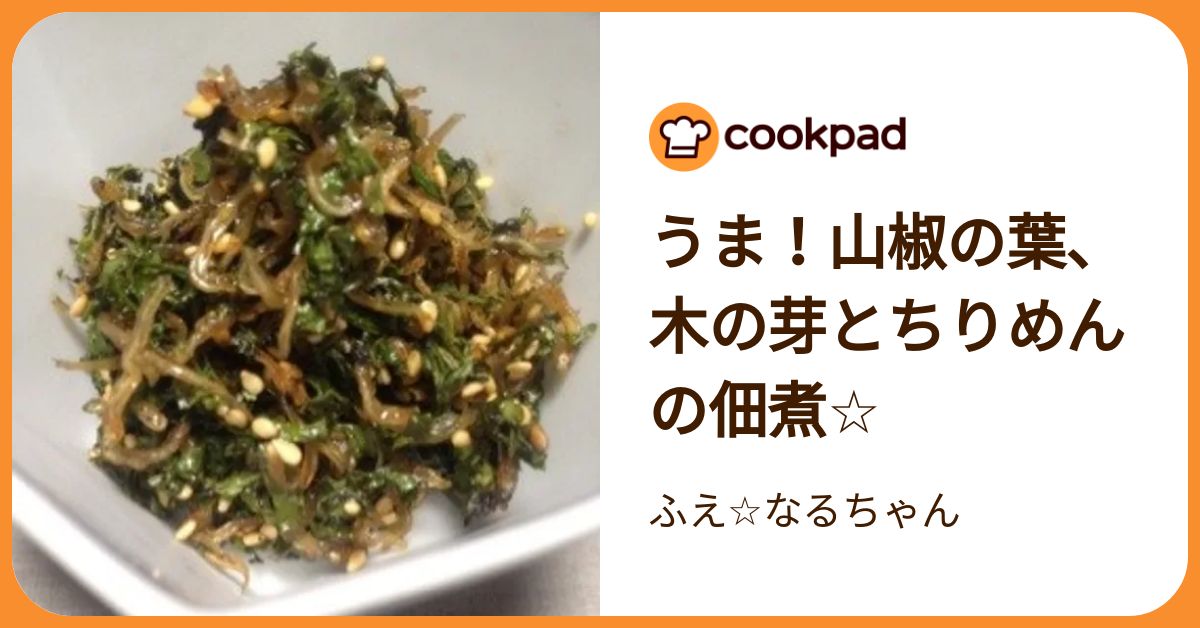 aiko　山椒の葉 山椒 葉サンショウ 葉山椒 直径17cm鉢 苗 苗木 通販 greenery