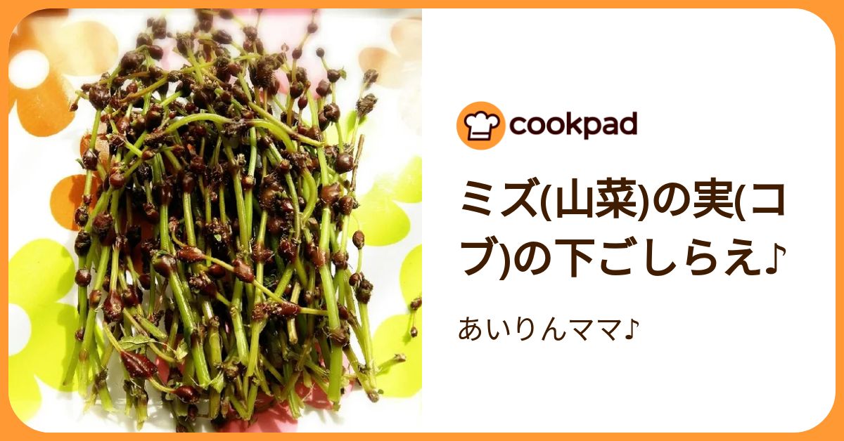 山菜 ミズの実 ミズのコブ 新潟県産 採れたて新鮮発送 山菜