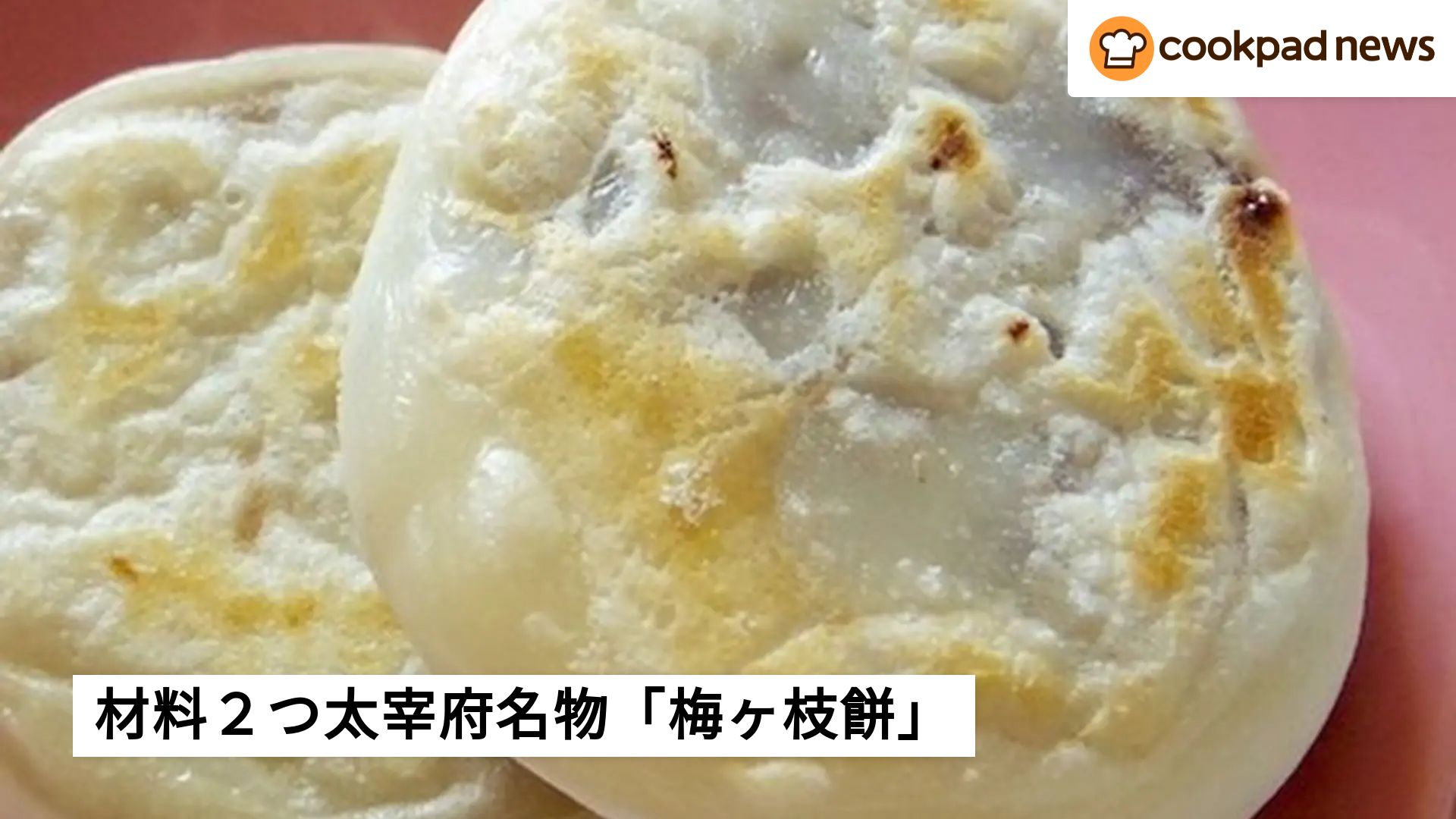 破裂ゼロで冷めてもカリカリ！極上揚げ餃子レシピとプロ直伝の黄金比率