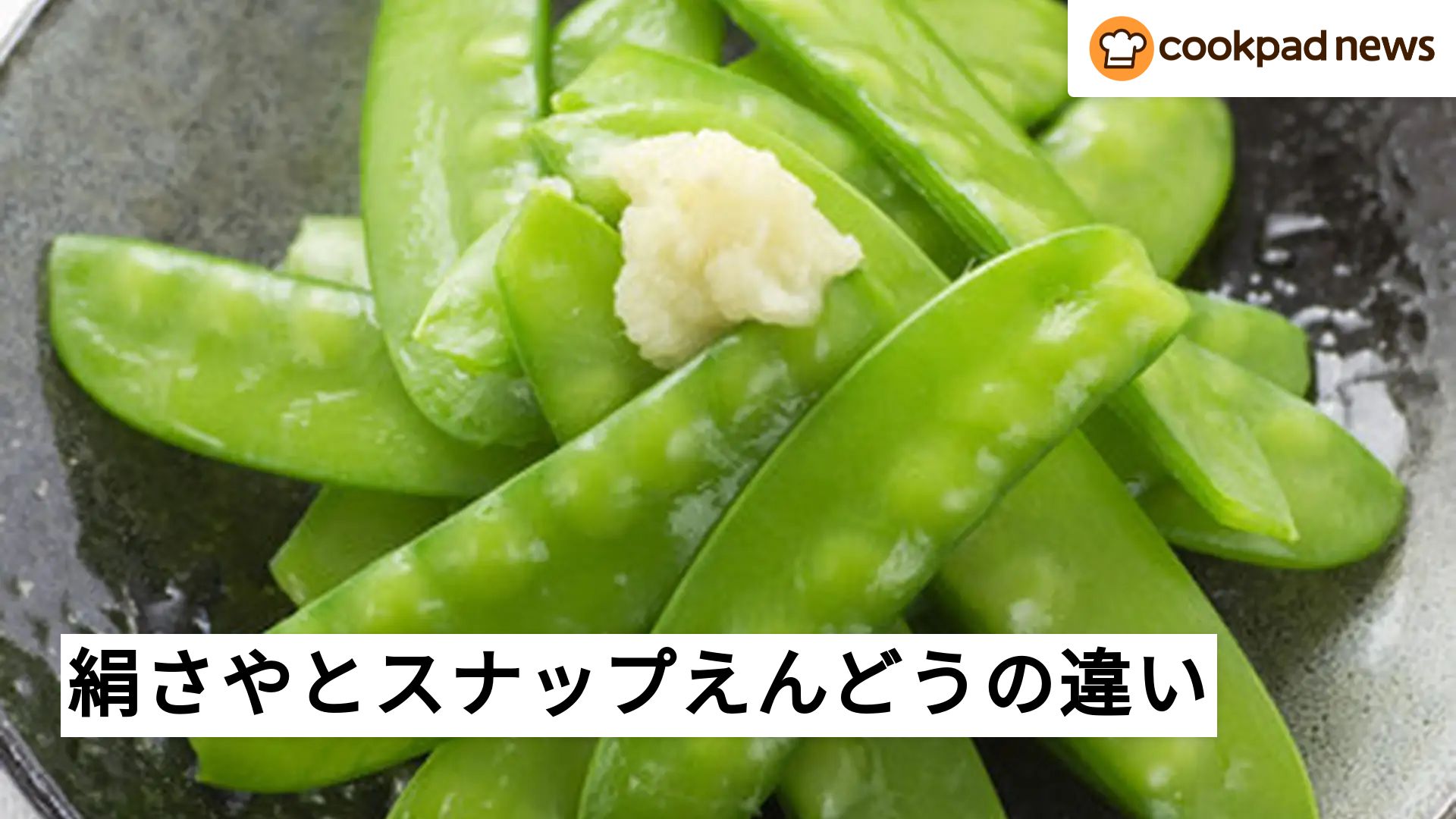 食材マメ知識】「絹さや」と「スナップえんどう」って何が違うの