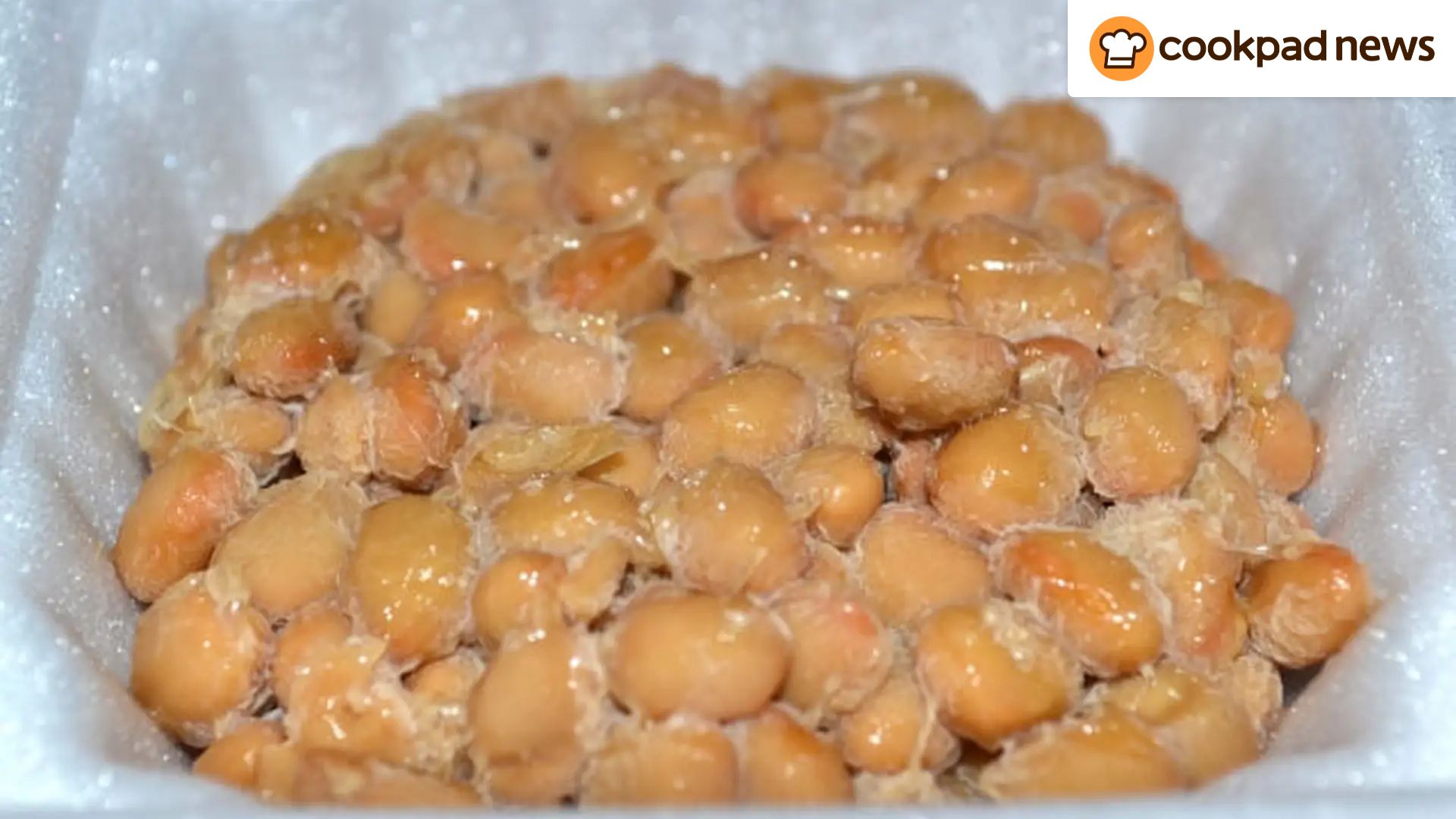 納豆 と ヨーグルト 食べ 合わせ