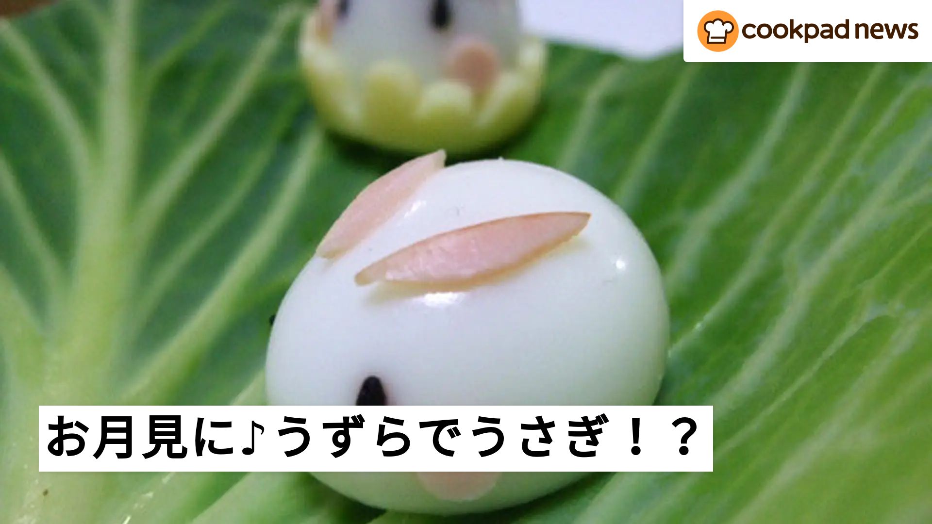 お月見にいかが？うずらでカワイイうさぎができるんです