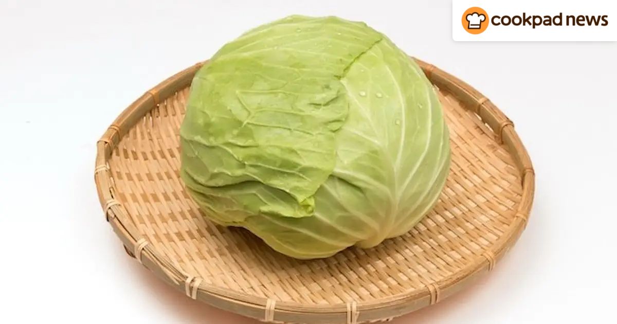 試してみたい！「キャベツ」のおいしさをキープする保存ワザ3選