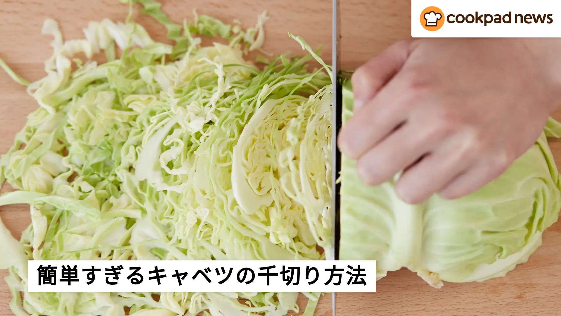「キャベツの千切り」やり方3選と保存方法！クックパッドの人気レシピを紹介 | クックパッドニュース