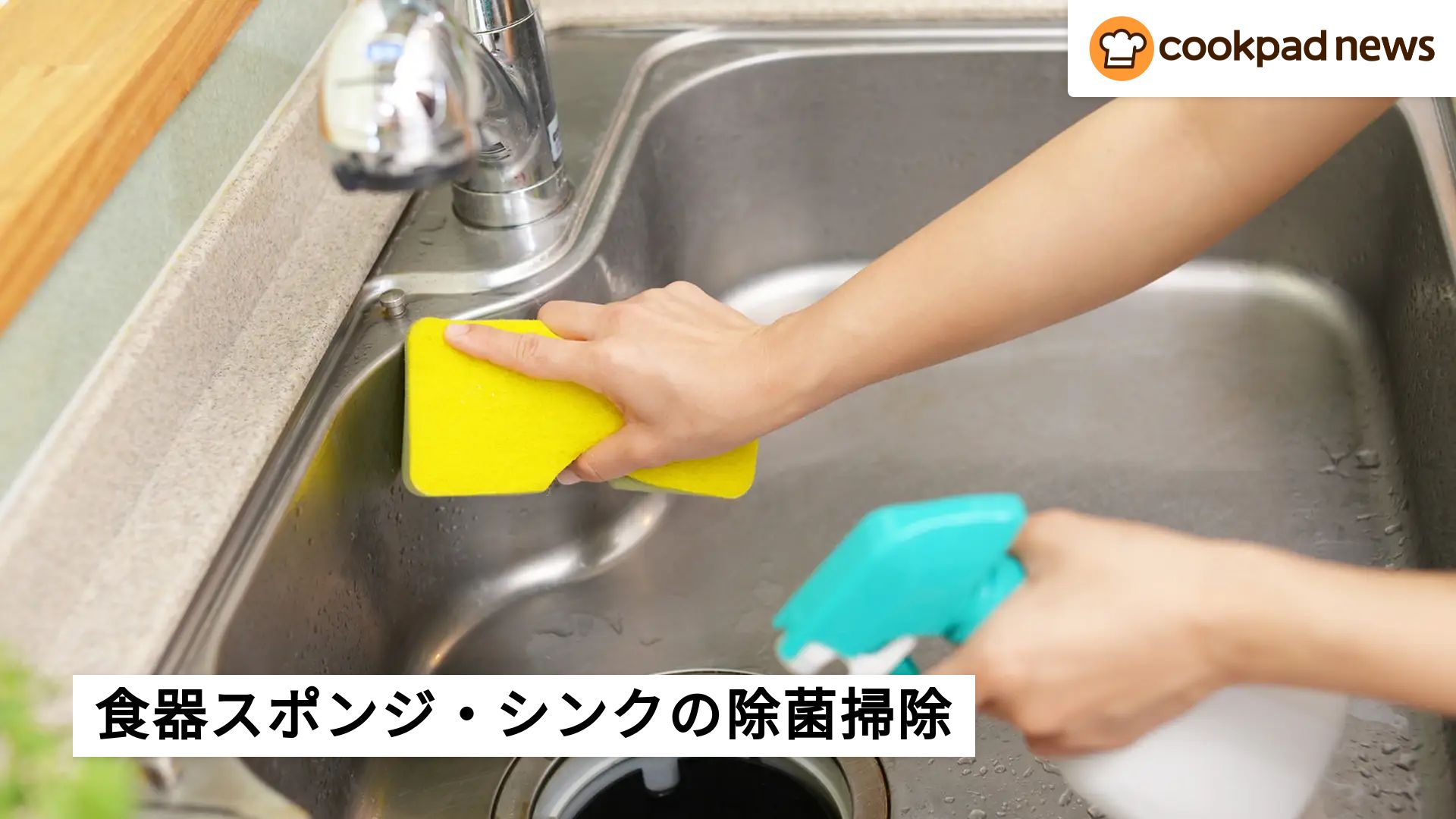 【掃除職人のキッチンきれい術】梅雨時期の「食器スポンジ・シンク」の除菌掃除を教えます！ | クックパッドニュース