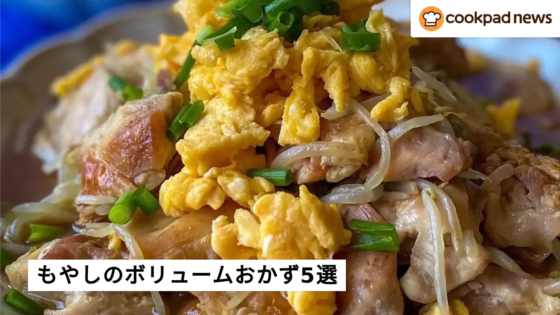 晩御飯 レシピ クックパッド 人気