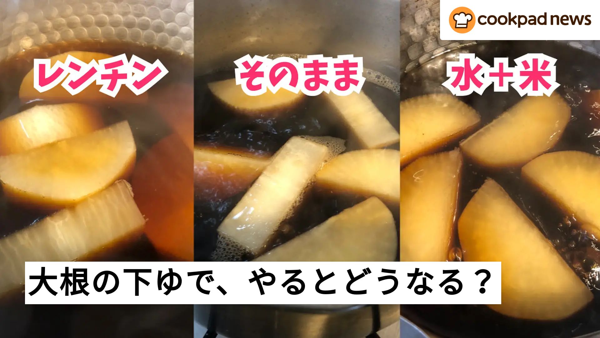 公の場での発言・インタビュー報道記録
