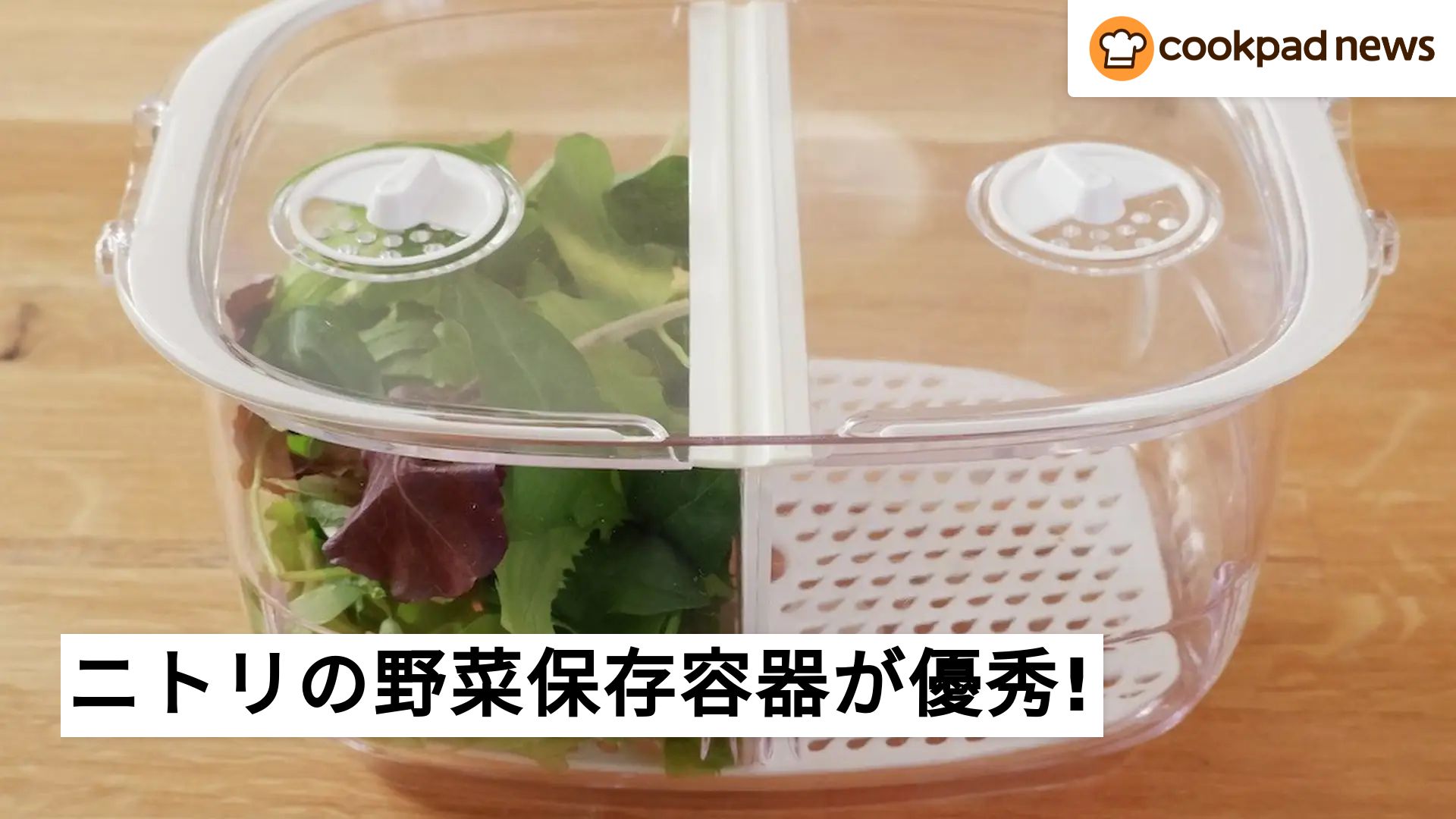 野菜の摂取量が上がる!?ニトリの「フレッシュキーパー」でいつでも