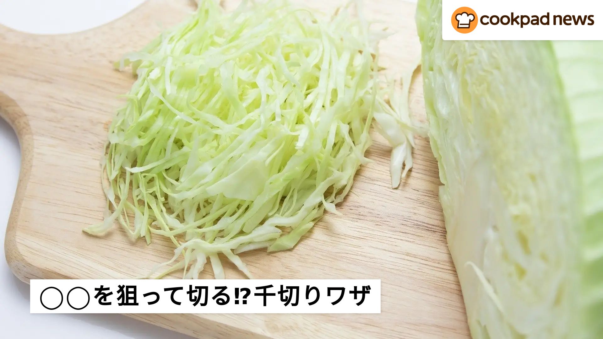を狙って切る⁉︎キャベツの上手な「千切りのコツ」集めました | クックパッドニュース