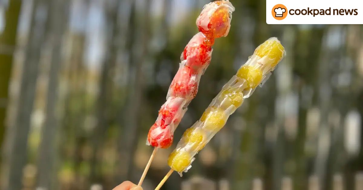 twitter?t=1712206912