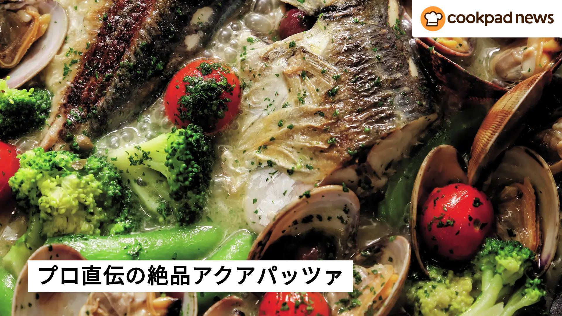 食いしん坊の塩漬け魚様専用 16x9?t=1768286552