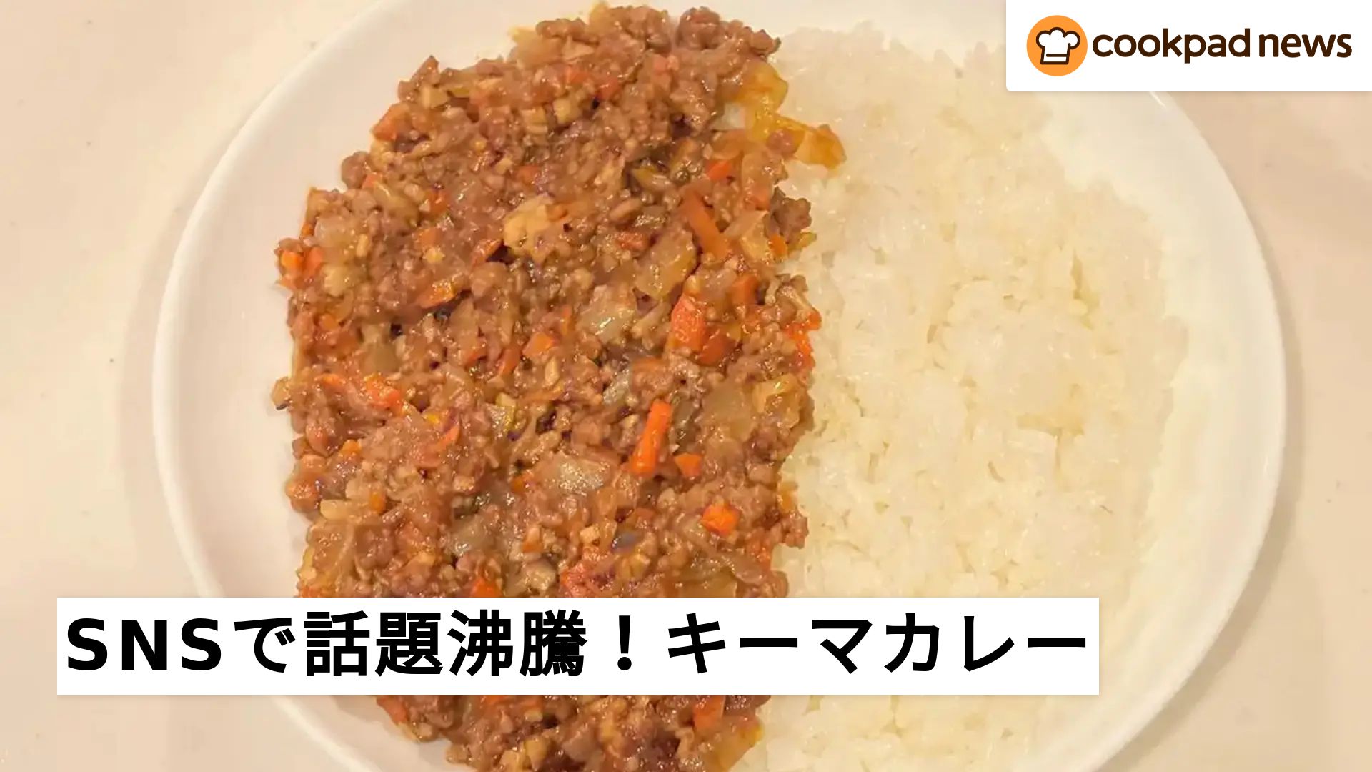 カレー ライス ひき肉 殿堂