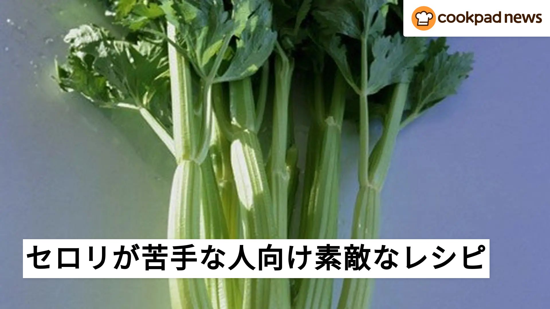 セロリの苦みを消して、美味しく食べられる夢のようなレシピとは？ | クックパッドニュース
