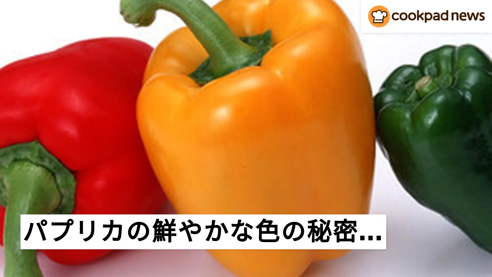 パプリカの鮮やかな色の秘密とは？！ | クックパッドニュース